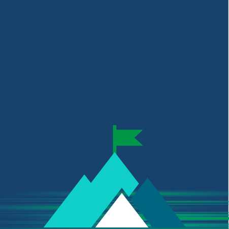 Qlik